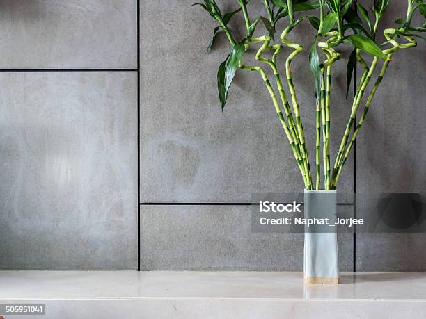 Blank Modern Room With Vase Of Lucky Bamboo Stock Photo - Download Image Now