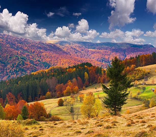 istock Colorful autumn landscape in the mountains 505951771