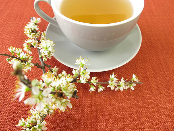 istock Blackthorn flowers tea 505953177