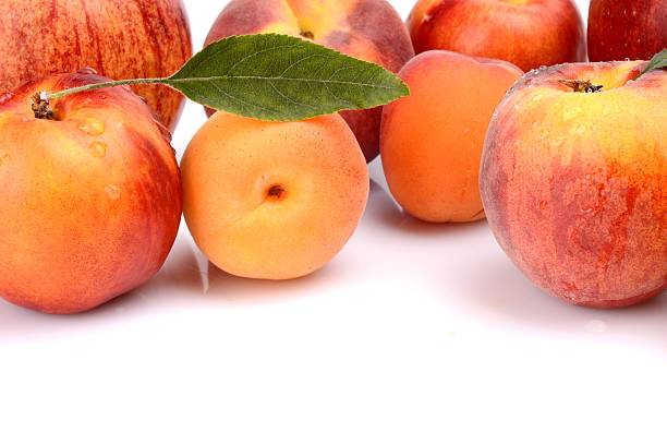 istock Several peaches,apricots,nectarines and apples isolated on white 505953207