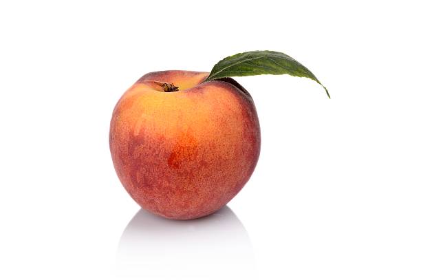 istock Studio shot of whole fresh peach isolated on white background 505954017