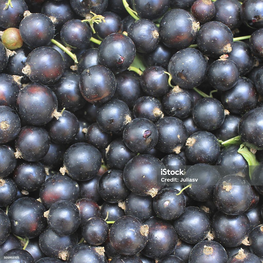 Berry of blackcurrant background. Closeup Berry of blackcurrant background. Close up Black Currant Stock Photo