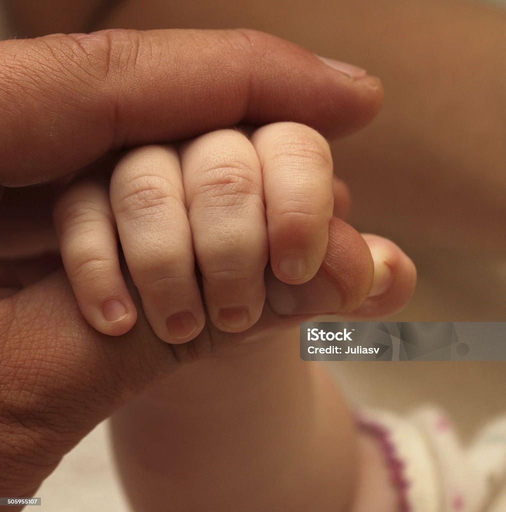 The hand of the child holds a hand of the adult The hand of the child holds a hand of the adult close-up Adult Stock Photo