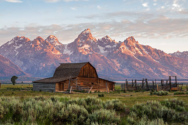 Moulton Barn in the Grand Teton, Wyoming Sunrise of Moulton Mormon Row Barn in Grand Teton National Park, Wyoming jackson hole photos stock pictures, royalty-free photos & images