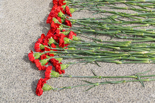 цветы в военный памятник - military funeral armed forces family стоковые фото и изображения