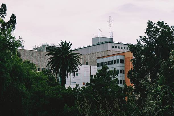 istock Buildings Next to Botanical Gardens 505962050