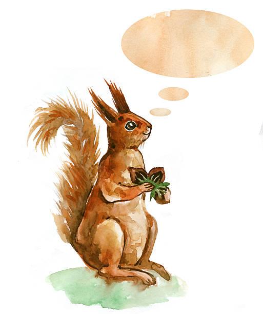 Watercolor cute squirrel with nuts. St. Valentin's present. stock photo