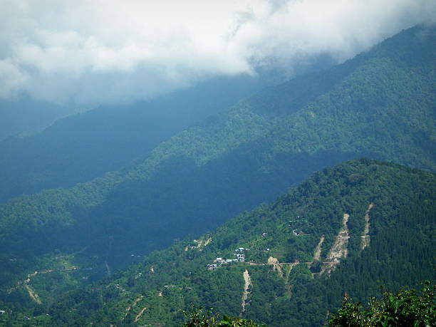 Slopes of a mountain covered in dense flora The Kanchenjunga (in the Himalayas) is the third highest mountain in the world with an elevation of 8,586 m (28,169 ft) and lies partly in Nepal and partly in Sikkim, India. tiger hill stock pictures, royalty-free photos & images