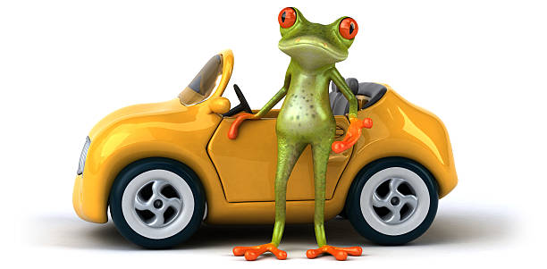 grenouille - frog three dimensional shape animal green photos et images de collection