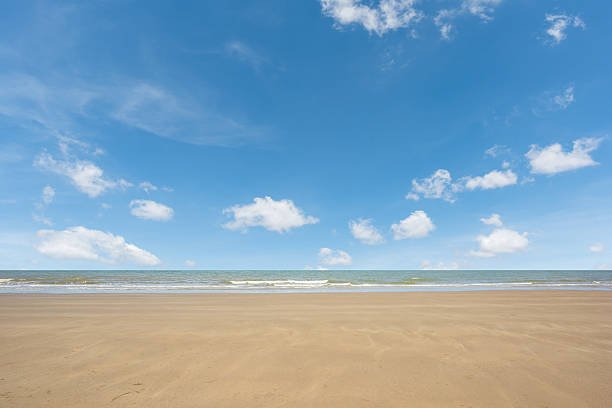istock beach and tropical sea 505966754