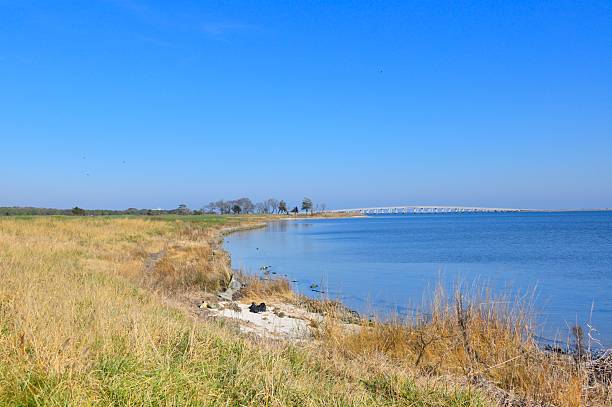 istock Bridge To Assateague Island National Seashore 505966850