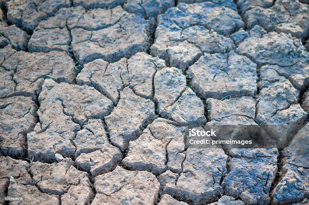 Dry and cracked earth Dry and cracked earth  texture . Abandoned Stock Photo
