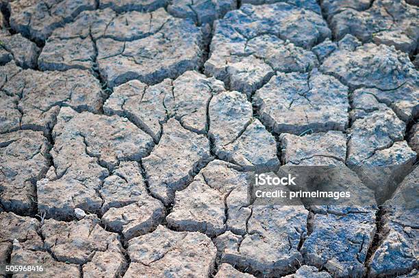 Dry And Cracked Earth Stock Photo - Download Image Now - Abandoned, Absence, Abstract