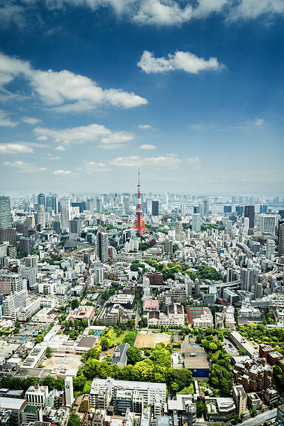 istock Tokyo Cityscape, Japan 505968956