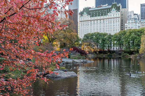 istock Central Park, New York City 505971970