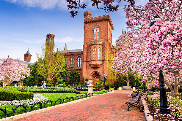 Smithsonian in DC Washington DC, USA - April 12, 2015: Visitors enjoy the gardens at The Smithsonian Institution Building during the spring season. smithsonian museums stock pictures, royalty-free photos & images