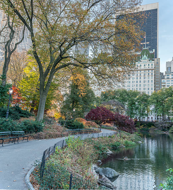 istock Central Park, New York City 505972776