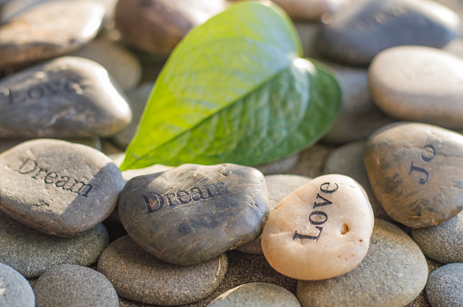 Pebbles printed with word love, dream, joy words and one green leaf as a heart shape