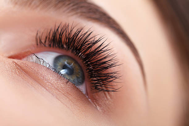 istock Woman Eye with Long Eyelashes. Eyelash Extension 505975633