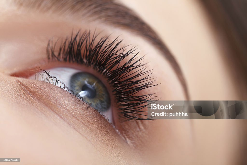 Woman Eye with Long Eyelashes. Eyelash Extension Eyelash Stock Photo