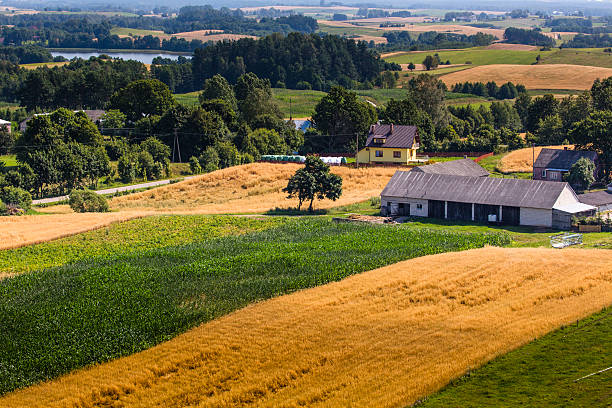 istock Suwalki Landscape Park, Poland. 505975945