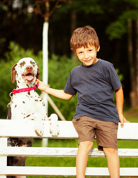 istock little cute boy with dalmatian dog 505977699