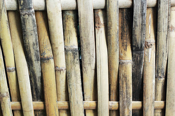 istock bamboo wood background - vintage style 505978239