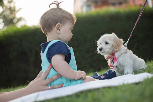 istock Baby having fun with its puppy 505978377