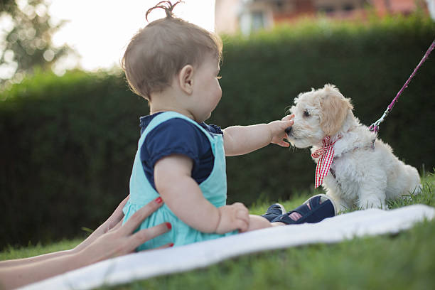 istock Baby having fun with its puppy 505978379
