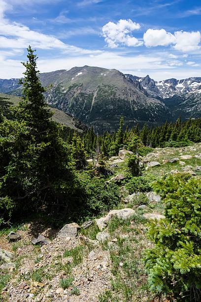 istock Rocky Mountain National Park Scenic View 505978855