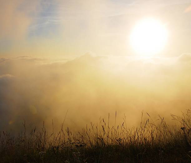 istock Sunset  at national park 505980139