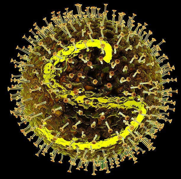 Measles virus stock photo