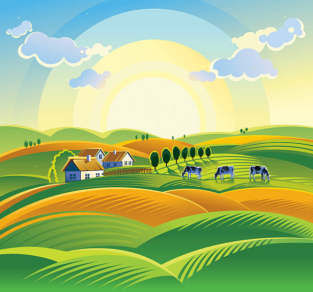 Summer countryside landscape. Summer countryside landscape with village and cow. Sunrise. house landscaped beauty in nature horizon over land stock illustrations