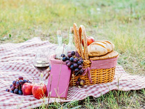 In a field a couple has placed a towel with a picnic basket. Around there are bottles of wine with glasses, fruit, bread and a book
