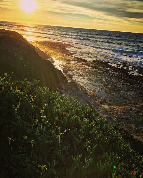 istock Sunset on La Jolla Beach, California, USA 505985172