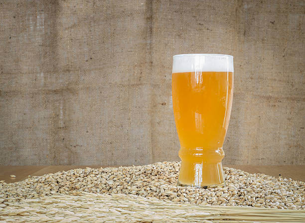 istock Glass of beer on malt grains 505985304