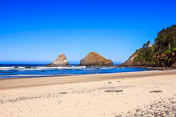 istock Cape Creek beach in Devil' Elbow State Park, Oregon 505986466