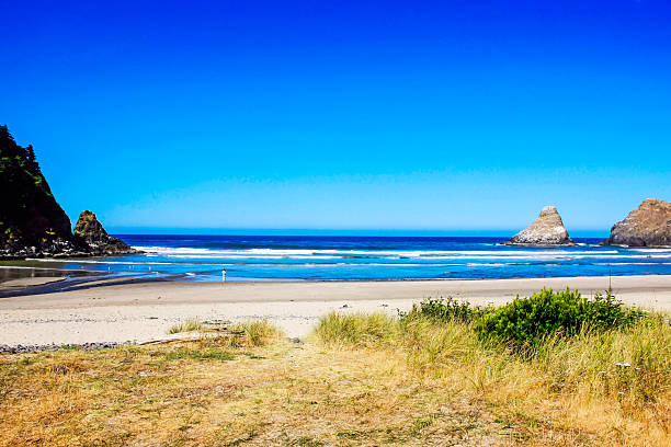 istock Cape Creek beach in Devil' Elbow State Park, Oregon 505986498