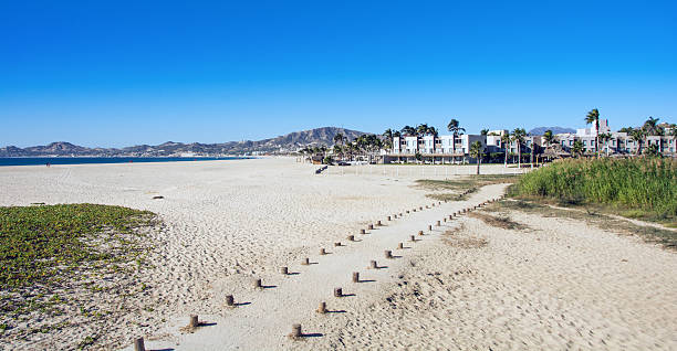 istock Trail to estuary  viewing station in San Jose del Cabo 505989430