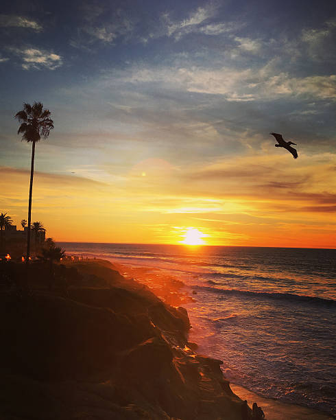 Sunset on La Jolla Beach, California, USA