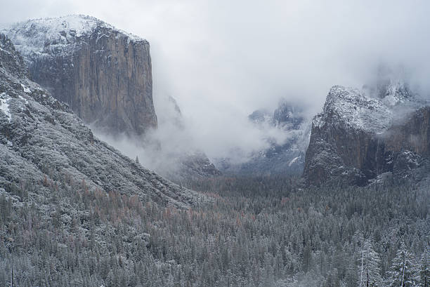 istock yosemite tunnel view in the mist 505991116