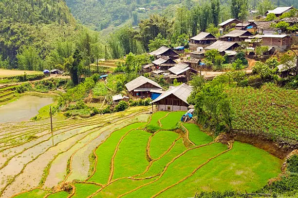 Akha villages in Sapa, Vietnam, Magnificent Rice Terrace