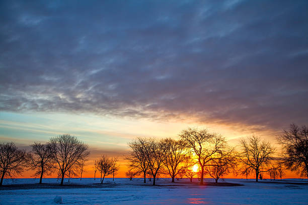 istock winter morning in the park 505996094