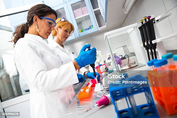 Real Female Scientists Researching Stock Photo - Download Image Now - Laboratory, Scientist, Women