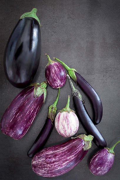 aubergine variétés vue sur de l'ardoise au-dessus de votre tête - italian eggplant photos et images de collection