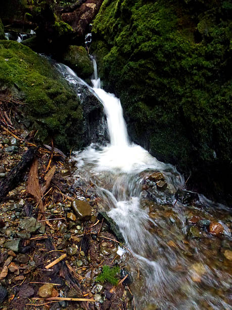 istock Noname waterfalls in Galloping Goose Trail, Vancouver Island Canada 506008082
