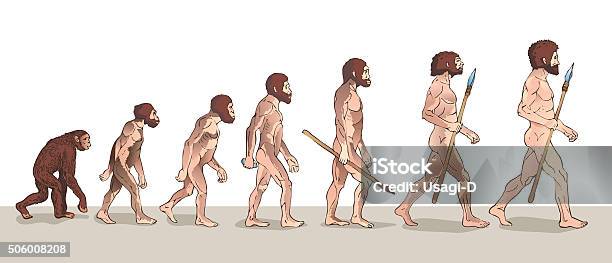 Menschliche Evolution Historische Illustrationen Stock Vektor Art und mehr Bilder von Evolution - Evolution, Charles Darwin - Naturforscher, Fortschritt