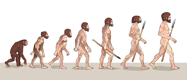 Human evolution. Historical Vector illustration .