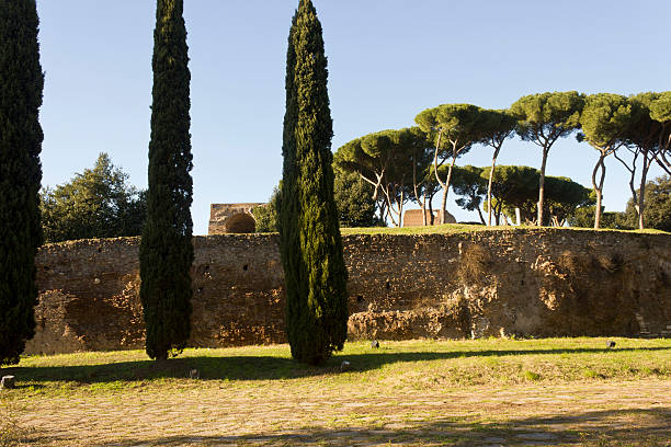 istock View of Palatine Hill 506008490