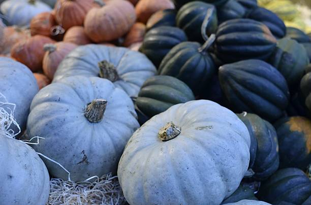 istock Pumpkins on the market 506008962